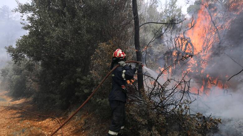  Εβρος: Φωτιά στα Λάβαρα του δήμου Σουφλίου – Στο σημείο επίγειες και εναέριες δυνάμεις