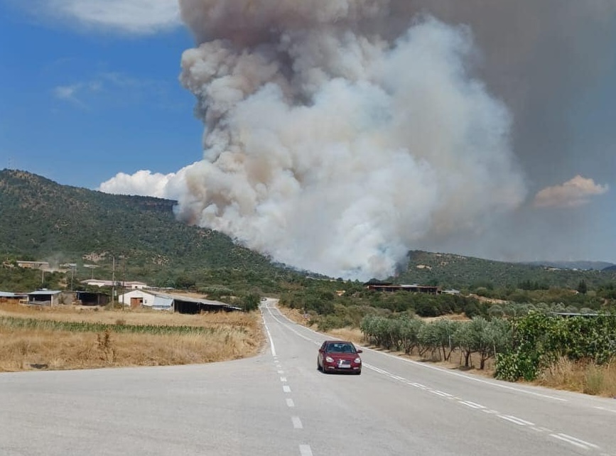  Ροδόπη: Από υπερθέρμανση αντλίας ποτίσματος η φωτιά στη Νέα Σάντα – Συνελήφθη 59χρονος