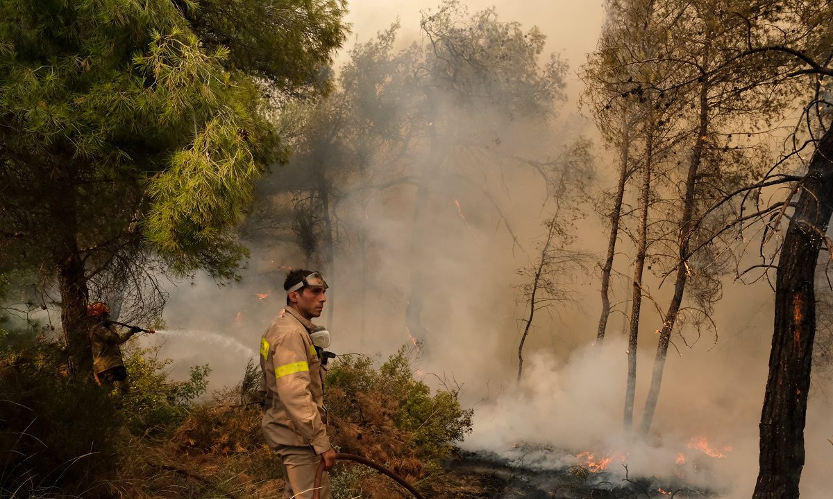  Ίδρυση νέου Σώματος Πυροφυλακής προτείνει ο καθηγητής του ΔΠΘ, Δ. Εμμανουλούδης