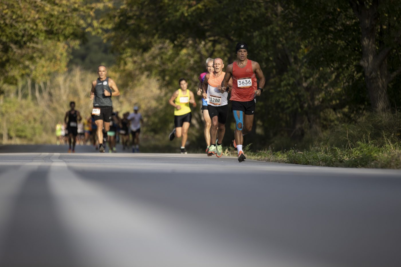  «Dadia Trail Run» οι πρώτοι Αγώνες Δρόμου στο Δήμο Σουφλίου