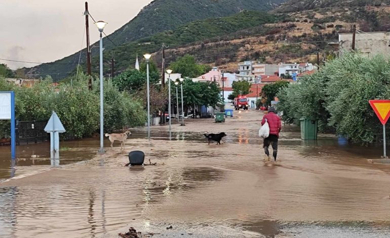  Κομοτηνή: Καταρρακτώδης βροχή στον Πολύανθο – Ποτάμια οι δρόμοι