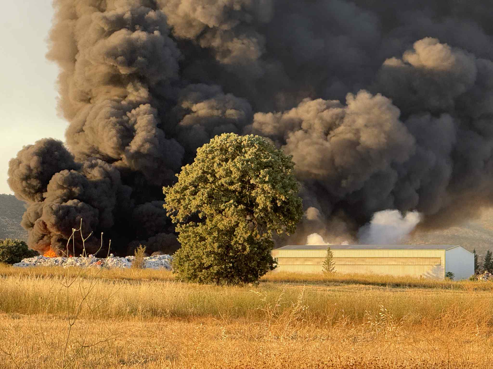 Καπνός από πυρκαγιά σε μονάδα ανακύκλωσης στην Αλεξανδρούπολη – Ελλάδα 2025