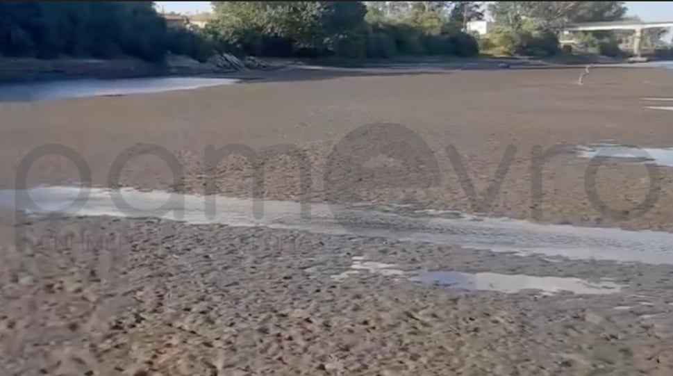 SOS ο Έβρος στέρεψε - Εικόνες σοκ από τα ελληνοτουρικά σύνορα