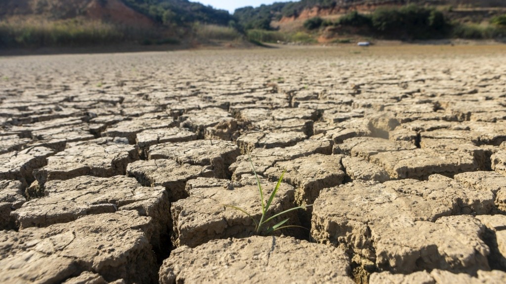 κτηνοτροφία Έβρος λειψυδρία