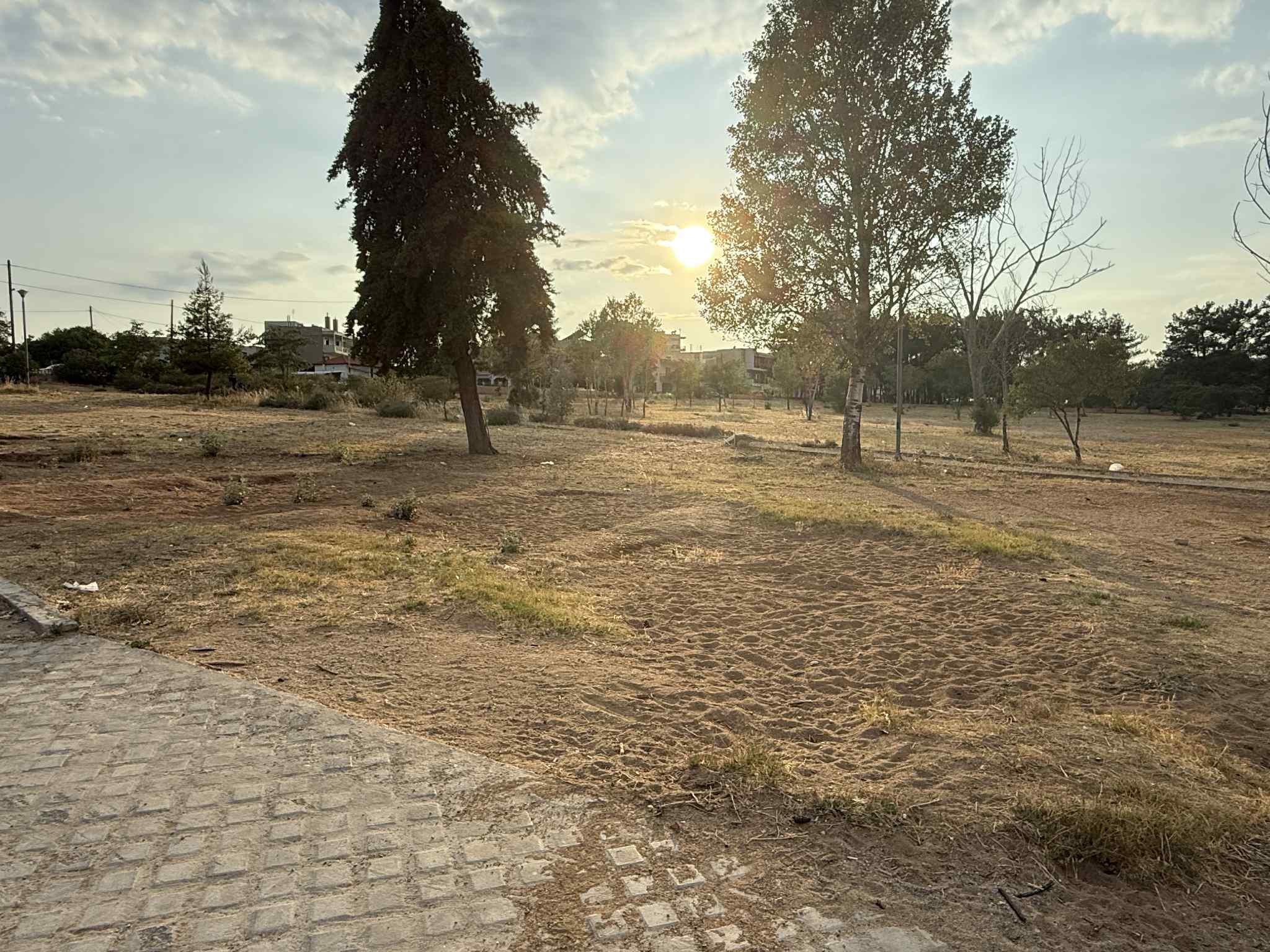 Ξεραμένο πάρκο Αλτιναλμάζη στην Αλεξανδρούπολη με διψασμένα δέντρα και εγκαταλελειμμένους χώρους