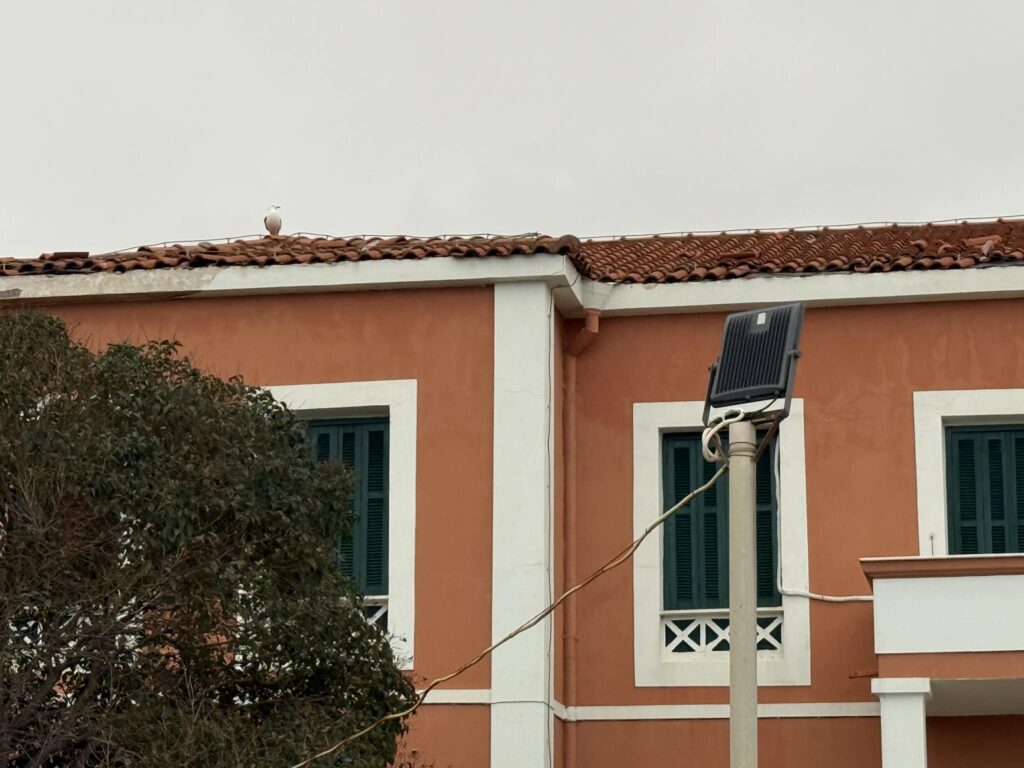 Η τρέχουσα εικόνα δεν έχει εναλλακτικό κείμενο. Το όνομα του αρχείου είναι: a6e1f28d-4b03-477c-ac9e-99f257e576ae.jpeg