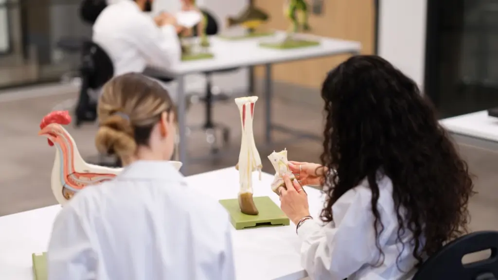 Κτηνιατρική Σχολή Ορεστιάδας: «Κλείδωσε» το χρονοδιάγραμμα – Πότε ανοίγουν οι πύλες για τους πρώτους φοιτητές