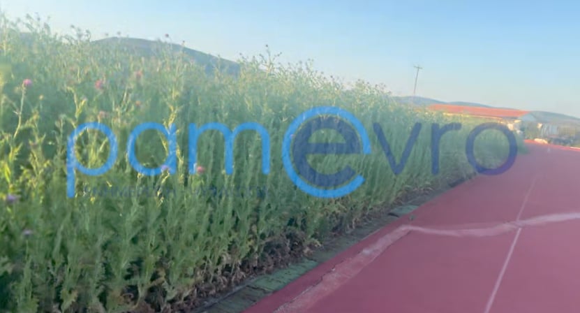 Το εγκαταλελειμμένο γήπεδο Δραγάνας στην Αλεξανδρούπολη γεμάτο χόρτα
