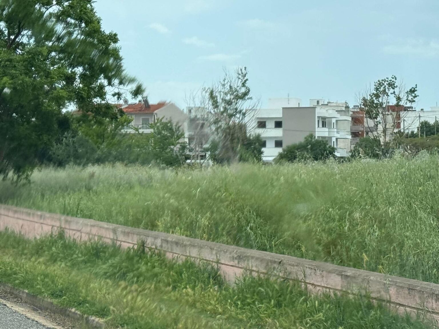 χόρτα σε οικόπεδο στην Αλεξανδρούπολη εν μέσω αντιπυρικής περιόδου