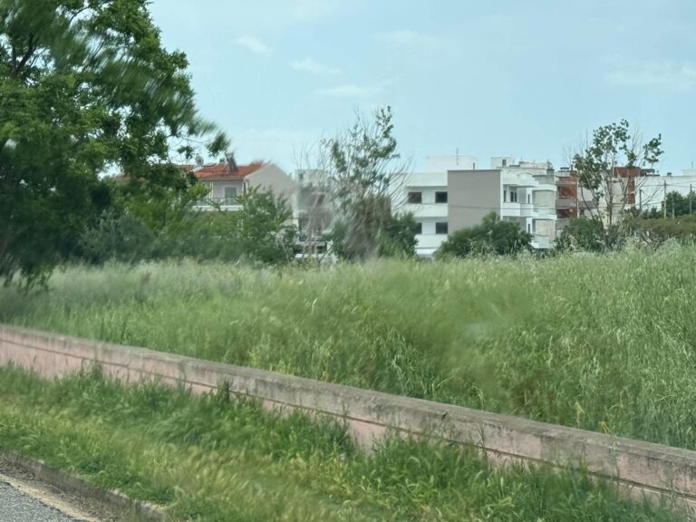 χόρτα σε οικόπεδο στην Αλεξανδρούπολη εν μέσω αντιπυρικής περιόδου