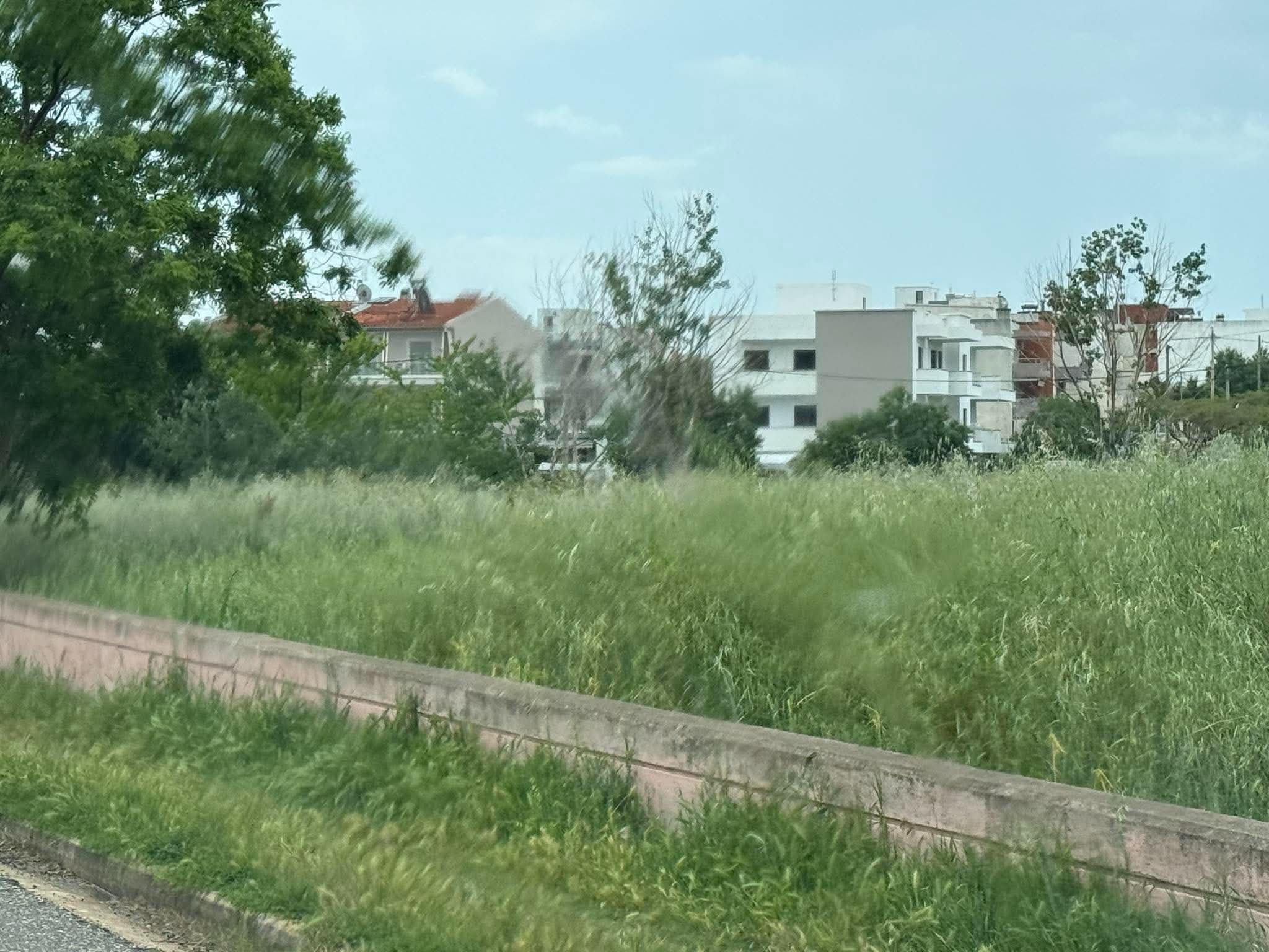 χόρτα σε οικόπεδο στην Αλεξανδρούπολη εν μέσω αντιπυρικής περιόδου