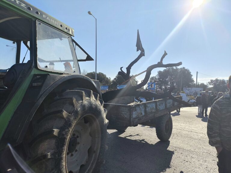 Αποζημιώσεις ελαιοπαραγωγών Έβρου μετά τις φωτιές του 2023
