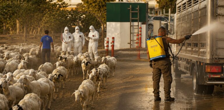 Κινητά συνεργεία απολύμανσης και ψεκασμοί οχημάτων για την αντιμετώπιση ζωονόσων στον Έβρο.