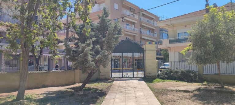 Κλαδεμένο δέντρο στην αυλή του 1ου Δημοτικού Σχολείου Αλεξανδρούπολης μετά από πρωτοβουλία γονέα