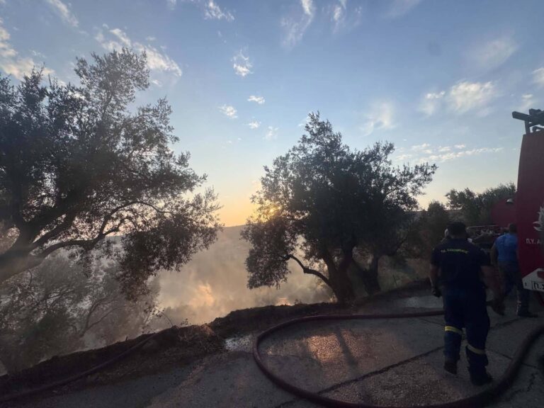 Έβρος: Υψηλός κίνδυνος πυρκαγιάς την Κυριακή 16/8 – Πού απαγορεύεται η κυκλοφορία