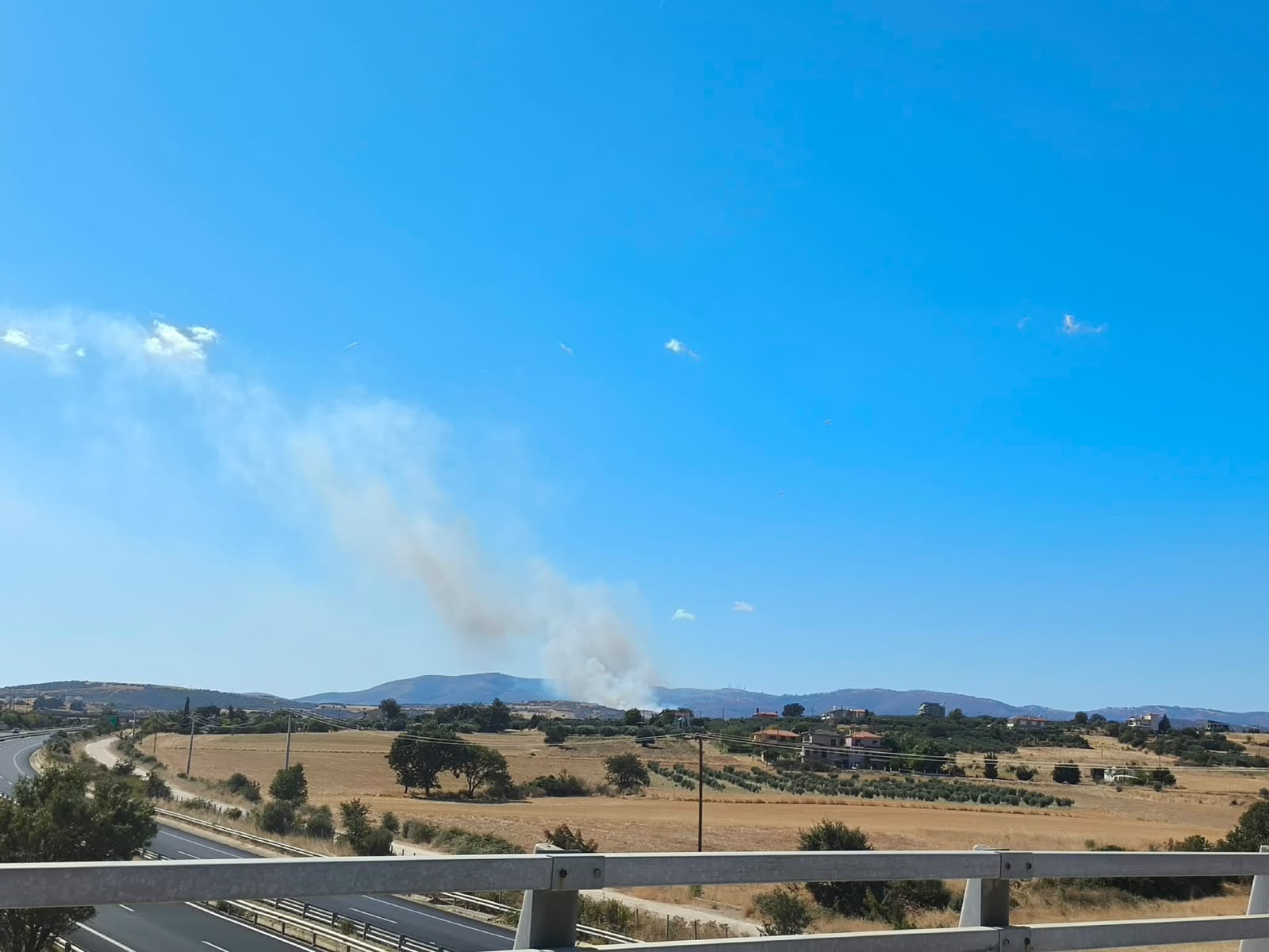 Επιχείρηση πυρόσβεσης στην περιοχή Βρυζέικα στην Αλεξανδρούπολη