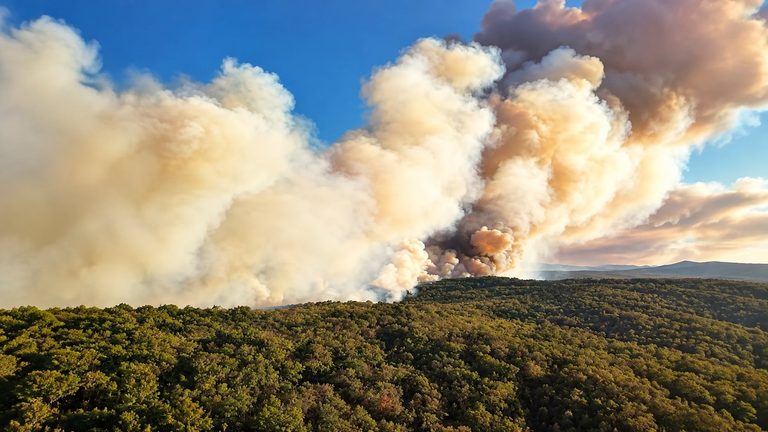 Πυρκαγιά στον Έβρο: Υπό μερικό έλεγχο το πύρινο μέτωπο στη Ρούσσα