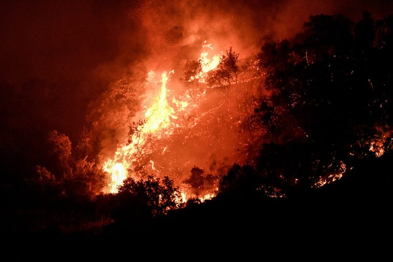 Έβρος: Εφιαλτική νύχτα σε Ρούσσα και Δέρειο με την πυρκαγιά που πέρασε από τη Βουλγαρία (ΒΙΝΤΕΟ)