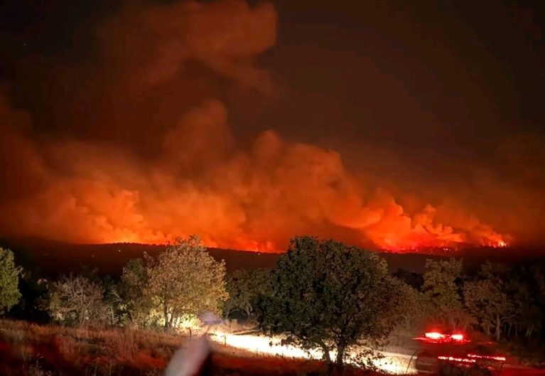 Πυρκαγιά στον Έβρο: Σκληρή δοκιμασία στα ελληνοβουλγαρικά σύνορα – Προς τη Βουλγαρία η φωτιά